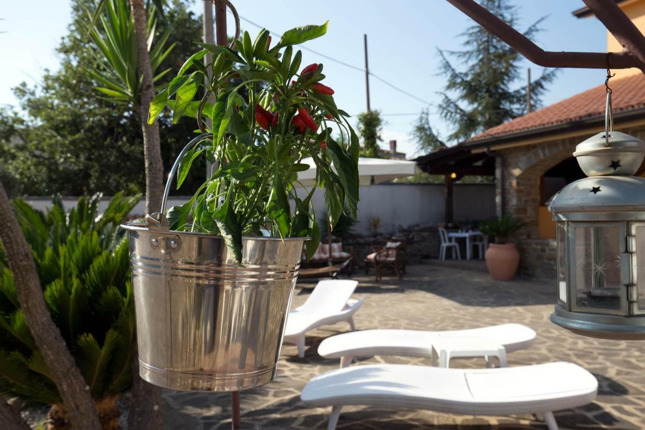 B&B Fasolino Montecorice Εξωτερικό φωτογραφία